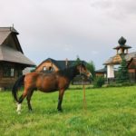 C79AF73D A666 4D51 A37C 70C68203BFF1 1 - Chalupkovo