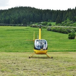 den-deti-2014-26